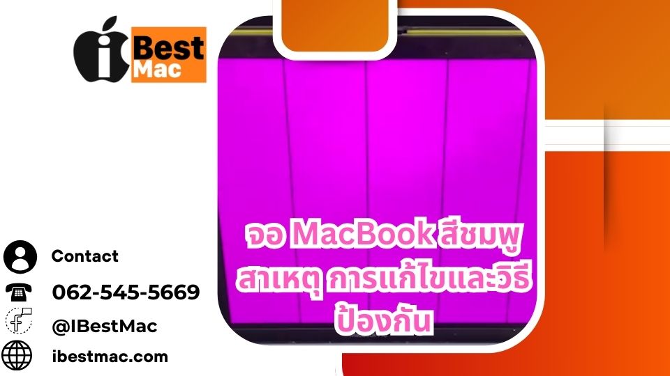 จอ MacBook สีชมพู